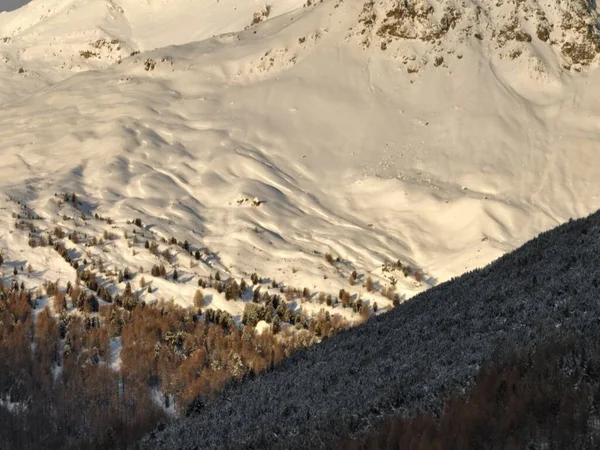 Comune Livigno Inverno Paesaggi Livigno Lombardia Italia Situati Nelle Alpi — Foto Stock