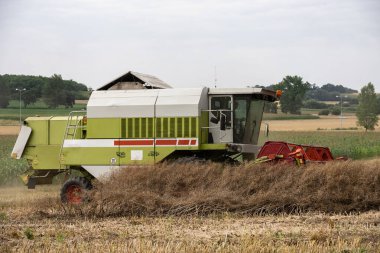 Yazın hasat tarlasıyla ekip biçmek. Tarlada hasat, hasat makinesini birleştirmek Nysa, Polonya kırsal kesiminde tahıl biçmek.