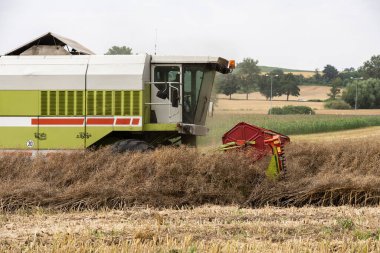 Yazın hasat tarlasıyla ekip biçmek. Tarlada hasat, hasat makinesini birleştirmek Nysa, Polonya kırsal kesiminde tahıl biçmek.