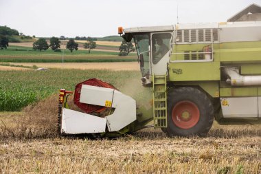 Yazın hasat tarlasıyla ekip biçmek. Tarlada hasat, hasat makinesini birleştirmek Nysa, Polonya kırsal kesiminde tahıl biçmek.