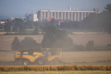 Yazın hasat tarlasıyla ekip biçmek. Tarlada hasat, hasat makinesini birleştirmek Nysa, Polonya kırsal kesiminde tahıl biçmek.