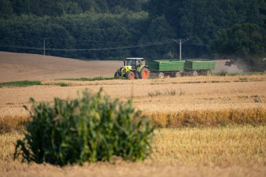Yazın hasat tarlasıyla ekip biçmek. Tarlada hasat, hasat makinesini birleştirmek Nysa, Polonya kırsal kesiminde tahıl biçmek.