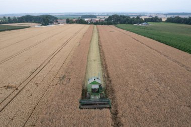 Yazın hasat tarlasıyla ekip biçmek. Tarlada hasat, hasat biçme makinesi Nysa, Polonya kırsal kesiminde tahıl biçme. Hasat aracının hava aracı fotoğrafı..