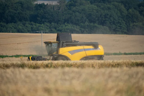 Harvesting field with combine in summer.  Harvest in the field, combine harvester mows grain in Nysa, Poland countryside.