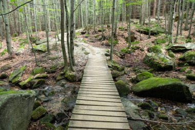 Rychlebske stezky, Rychleby denemeleri Çek Cumhuriyeti süper akış yolunda