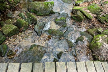 Rychlebske stezky, Rychleby denemeleri Çek Cumhuriyeti süper akış yolunda