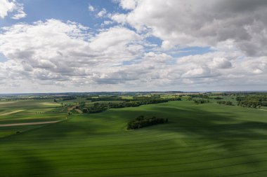 Kalp şeklindeki ormanın hava aracı görüntüsü Polonya 'da reen çiçekleri ile çevrili. Aşk ağaçları, Sakarszyn 'de ağaçlardan yapılmış kalp