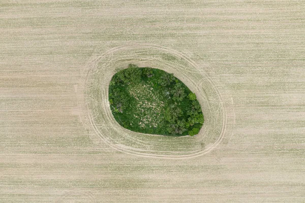 Village Country Farming Shapes Field Aerial Drone Photo Inglés Forma — Foto de Stock