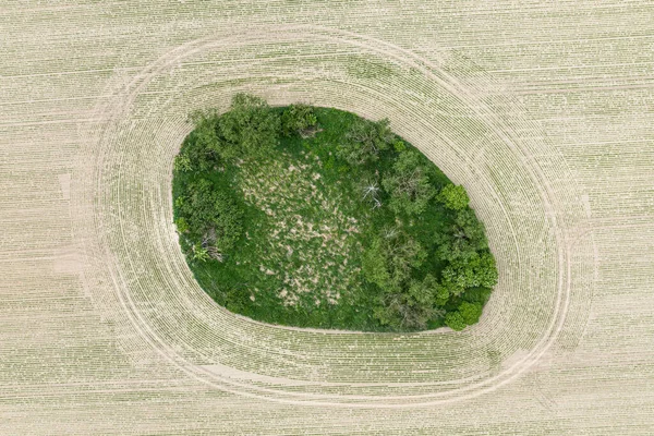 Village Country Farming Shapes Field Aerial Drone Photo Bomen Het — Stockfoto