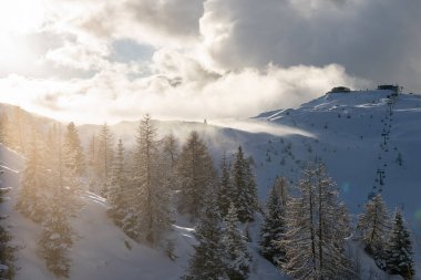 İtalya 'da kış dolomitleri. Madonna di Campiglio köyünde kış ve İtalya 'da bir kayak merkezi. Madonna di Madonna di Campiglio ve ursus kar parkı Val Rendena dolomitler trentino İtalya 'da. 