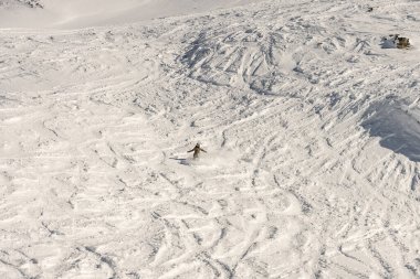 Serbest barut, Les deux alplerinde snowboard, kışın tatil köyü, Fransız Alplerinde dağlar, Fransa 'da Rhone Alpes. Taze toz serbest.