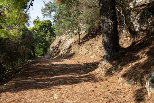 Zakynthos kasabasındaki kilise, Yunanistan. Zakynthos şehri. Kilise, Zante 'deki kale, Zakynthos. Yunan Kilisesi.