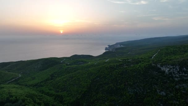 Vista Aérea Drone Pinheiros Por Sol Bosques Azeitona Vista Mar — Vídeo de Stock