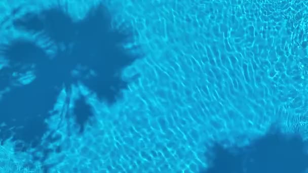 Schwimmbad Mit Palmenschatten Auf Dem Wasser Drohnenblick Aus Der Luft — Stockvideo