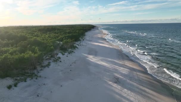 Belas Praias Selvagens Hel Praia Selvagem Mar Baltico Vista Aérea — Vídeo de Stock