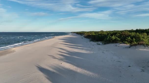 Piękne Dzikie Plaże Hel Wild Plaży Morzu Bałtyckim Widok Lotu — Wideo stockowe
