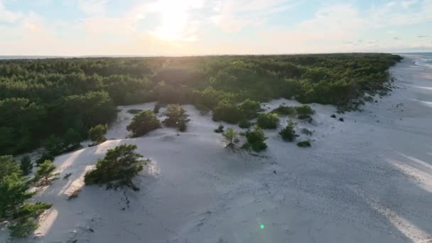 Дикие Пляжи Hel Wild Beach Балтийском Море Вид Воздуха Полуостров — стоковое видео