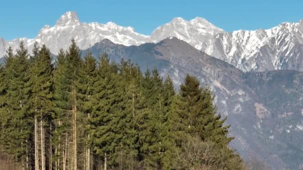 Flygdrönare Flyger Dolomiterna Italien Flyg Över Träden Vinterlandskap Berg Italienska — Stockvideo