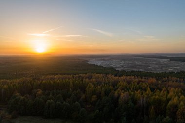 Bledowska Çölü, Polonya 'nın en büyük bataklık kumu. Silesian Upland, Bledow, Klucze ve Çeçen köyünün sınırında yer alan kum çölü, büyük orman bölgesi hava aracı manzaralı.