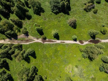 Beskid Dağları, Blatnia 'da İHA görüntüsü var. Blatnia 'da yaz yeşili orman. Jaworze 'daki Beskid Dağları. İnsansız hava aracı yeşil dağların ve patikaların üzerinde uçuyor. Polonya yeşil dağları ve tepeleri hava aracı 