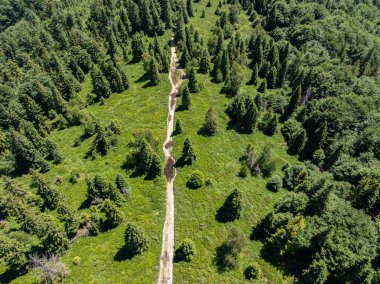 Drone view on trail in Beskid mountains, Blatnia. Summer green forest on Blatnia. Beskid mountains in Jaworze. Drone fly above green mountains and trail. Polish green mountains and hills aerial drone  clipart