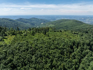 Beskid dağlarındaki insansız hava aracı görüntüsü, Blatnia. Blatnia 'da yaz yeşili orman. Jaworze 'daki Beskid Dağları. İnsansız hava aracı yazın yeşil dağların üzerinde uçar. Polonya yeşil dağları ve tepeleri hava aracı fotoğrafı
