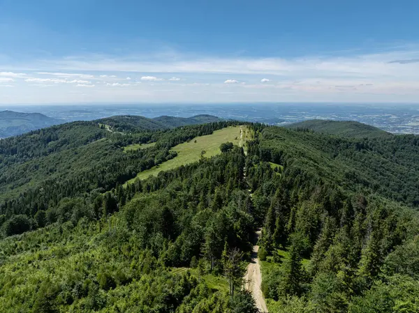 Beskid dağlarındaki insansız hava aracı görüntüsü, Blatnia. Blatnia 'da yaz yeşili orman. Jaworze 'daki Beskid Dağları. İnsansız hava aracı yazın yeşil dağların üzerinde uçar. Polonya yeşil dağları ve tepeleri hava aracı fotoğrafı