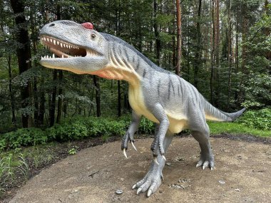 Realistic figure of an Allosaurus dinosaur inforest park in Kazimierz Sosnowiec. Prehistoric predator create a fascinating element of the landscape, attracting dinosaur lovers. Allosaurus dinosaur. clipart