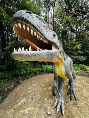 Kazimierz Sosnowiec 'teki Allosaurus dinazor parkının gerçekçi figürü. Tarih öncesi yırtıcı hayvan, dinozor sevenleri cezbetmek için büyüleyici bir doğa unsuru yaratır. Allosaurus dinozoru.