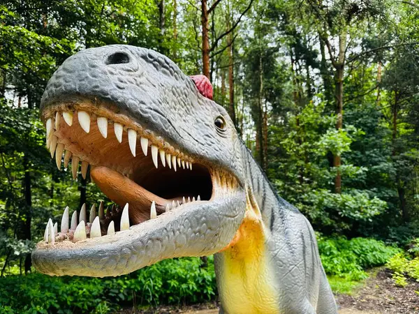 stock image Realistic figure of an Allosaurus dinosaur inforest park in Kazimierz Sosnowiec. Prehistoric predator create a fascinating element of the landscape, attracting dinosaur lovers. Allosaurus dinosaur.
