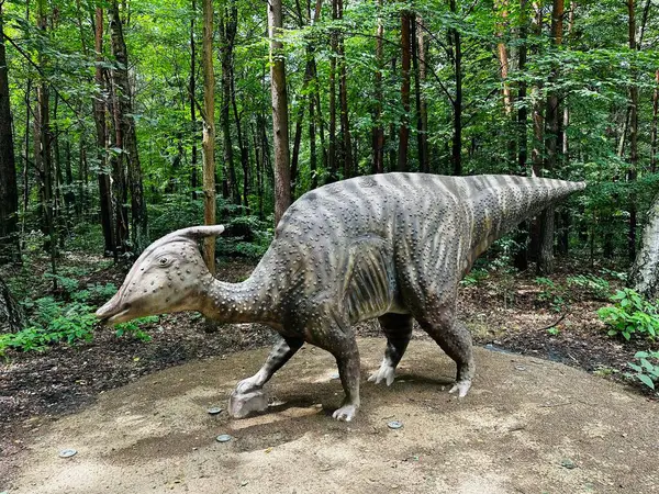 stock image Realistic figure of an Zaurolof dinosaur inforest park in Kazimierz Sosnowiec. Prehistoric predator create a fascinating element of the landscape, attracting dinosaur lovers.  Zaurolof dinosaur. 