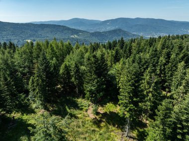 Beskids, Bielsko Biala, Magurka Wilkowicka 'daki yeşil ormanların çarpıcı hava aracı görüntüsü. Magurka Wilkowicka 'da bir barınak. Tepelerin manzarası yemyeşil yeşilliğin güzelliğini ve huzurunu yansıtır.. 