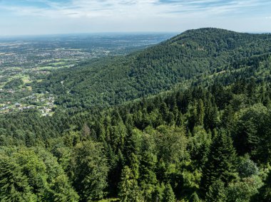 Beskids, Bielsko Biala, Magurka Wilkowicka 'daki yeşil ormanların çarpıcı hava aracı görüntüsü. Magurka Wilkowicka 'da bir barınak. Tepelerin manzarası yemyeşil yeşilliğin güzelliğini ve huzurunu yansıtır.. 