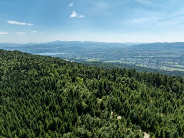 Beskids, Bielsko Biala, Magurka Wilkowicka 'daki yeşil ormanların çarpıcı hava aracı görüntüsü. Magurka Wilkowicka 'da bir barınak. Tepelerin manzarası yemyeşil yeşilliğin güzelliğini ve huzurunu yansıtır.. 