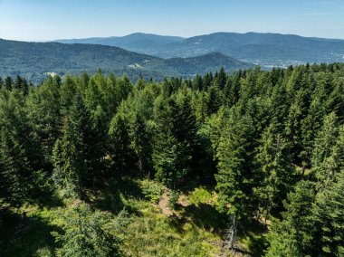 Beskid Yaz Dağları Panoraması. Beskids, Bielsko Biala, Magurka Wilkowicka 'daki yeşil ormanların çarpıcı hava aracı görüntüsü. Magurka Wilkowicka 'daki Barınak.