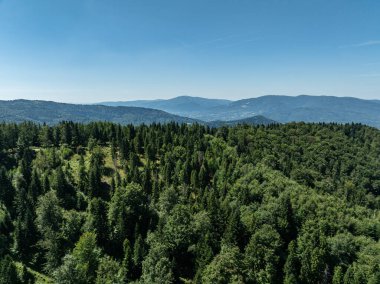Beskid Yaz Dağları Panoraması. Beskids, Bielsko Biala, Magurka Wilkowicka 'daki yeşil ormanların çarpıcı hava aracı görüntüsü. Magurka Wilkowicka 'daki Barınak.