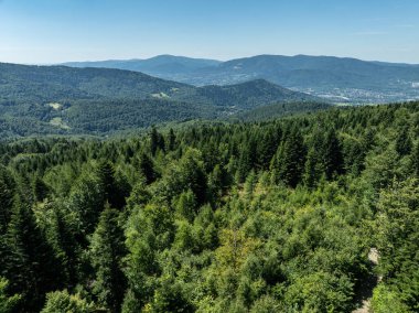 Beskid Yaz Dağları Panoraması. Beskids, Bielsko Biala, Magurka Wilkowicka 'daki yeşil ormanların çarpıcı hava aracı görüntüsü. Magurka Wilkowicka 'daki Barınak.