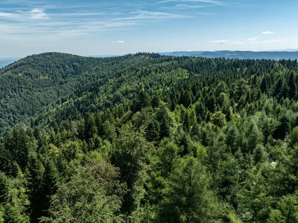 Beskid Yaz Dağları Panoraması. Beskids, Bielsko Biala, Magurka Wilkowicka 'daki yeşil ormanların çarpıcı hava aracı görüntüsü. Magurka Wilkowicka 'daki Barınak.