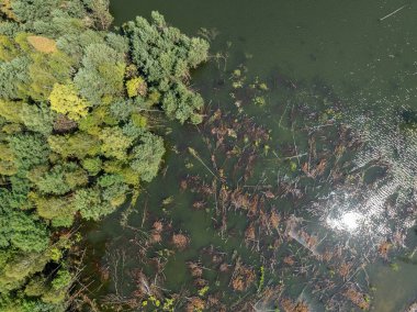 Polonya 'nın Olkusz kentindeki Pomorzany madeninde meydana gelen hasar sonucu su altında kalan bir göl bölgesi. Sel basmış kum çukurunun hava aracı görüntüsü. Orman bir göle battı. Temiz suyu olan batık bir kum havuzu. 
