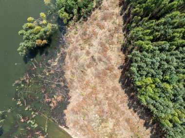 Lake District, swallow hole flooded as a result of the mining damage Pomorzany mine in Olkusz,Poland. Aerial drone view of flooded sand pit. Forest submerged in a lake. Sunken sandpit with clear water.  clipart