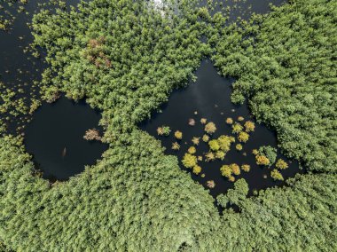 Polonya 'nın Olkusz kentindeki Pomorzany madeninde meydana gelen hasar sonucu su altında kalan bir göl bölgesi. Sel basmış kum çukurunun hava aracı görüntüsü. Orman bir göle battı. Temiz suyu olan batık bir kum havuzu. 