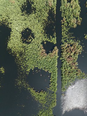 Lake District, swallow hole flooded as a result of the mining damage Pomorzany mine in Olkusz,Poland. Aerial drone view of flooded sand pit. Forest submerged in a lake. Sunken sandpit with clear water.  clipart