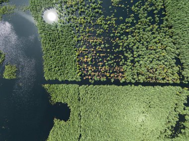 Polonya 'nın Olkusz kentindeki Pomorzany madeninde meydana gelen hasar sonucu su altında kalan bir göl bölgesi. Sel basmış kum çukurunun hava aracı görüntüsü. Orman bir göle battı. Temiz suyu olan batık bir kum havuzu. 