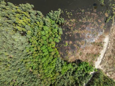 Polonya 'nın Olkusz kentindeki Pomorzany madeninde meydana gelen hasar sonucu su altında kalan bir göl bölgesi. Sel basmış kum çukurunun hava aracı görüntüsü. Orman bir göle battı. Temiz suyu olan batık bir kum havuzu. 