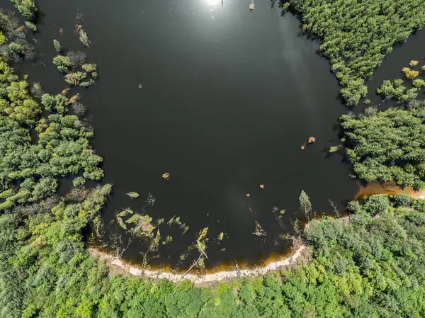 Polonya 'nın Olkusz kentindeki Pomorzany madeninde meydana gelen hasar sonucu su altında kalan bir göl bölgesi. Sel basmış kum çukurunun hava aracı görüntüsü. Orman bir göle battı. Temiz suyu olan batık bir kum havuzu. 