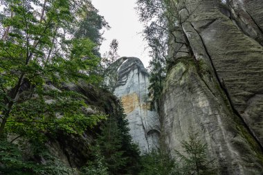 Adrspach Teplice Ulusal Parkı yıkılıyor. Merkez Sudetlerdeki Adrspach Teplice Kayalıkları Tepe Dağları Masa Dağları 'nın bir kısmını oluşturur. Çek Cumhuriyeti, Adrspach 'taki güzel kireçtaşı kumtaşları kayalar. 