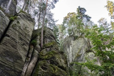 Adrspach Teplice Ulusal Parkı yıkılıyor. Merkez Sudetlerdeki Adrspach Teplice Kayalıkları Tepe Dağları Masa Dağları 'nın bir kısmını oluşturur. Çek Cumhuriyeti, Adrspach 'taki güzel kireçtaşı kumtaşları kayalar. 