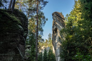Adrspach Teplice Ulusal Parkı yıkılıyor. Merkez Sudetlerdeki Adrspach Teplice Kayalıkları Tepe Dağları Masa Dağları 'nın bir kısmını oluşturur. Çek Cumhuriyeti, Adrspach 'taki güzel kireçtaşı kumtaşları kayalar. 