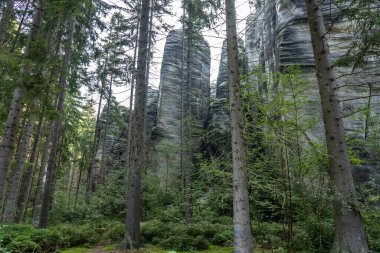 Adrspach Teplice Ulusal Parkı yıkılıyor. Merkez Sudetlerdeki Adrspach Teplice Kayalıkları Tepe Dağları Masa Dağları 'nın bir kısmını oluşturur. Çek Cumhuriyeti, Adrspach 'taki güzel kireçtaşı kumtaşları kayalar. 