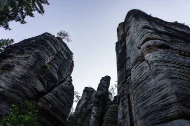 Adrspach Teplice Ulusal Parkı yıkılıyor. Merkez Sudetlerdeki Adrspach Teplice Kayalıkları Tepe Dağları Masa Dağları 'nın bir kısmını oluşturur. Çek Cumhuriyeti, Adrspach 'taki güzel kireçtaşı kumtaşları kayalar. 